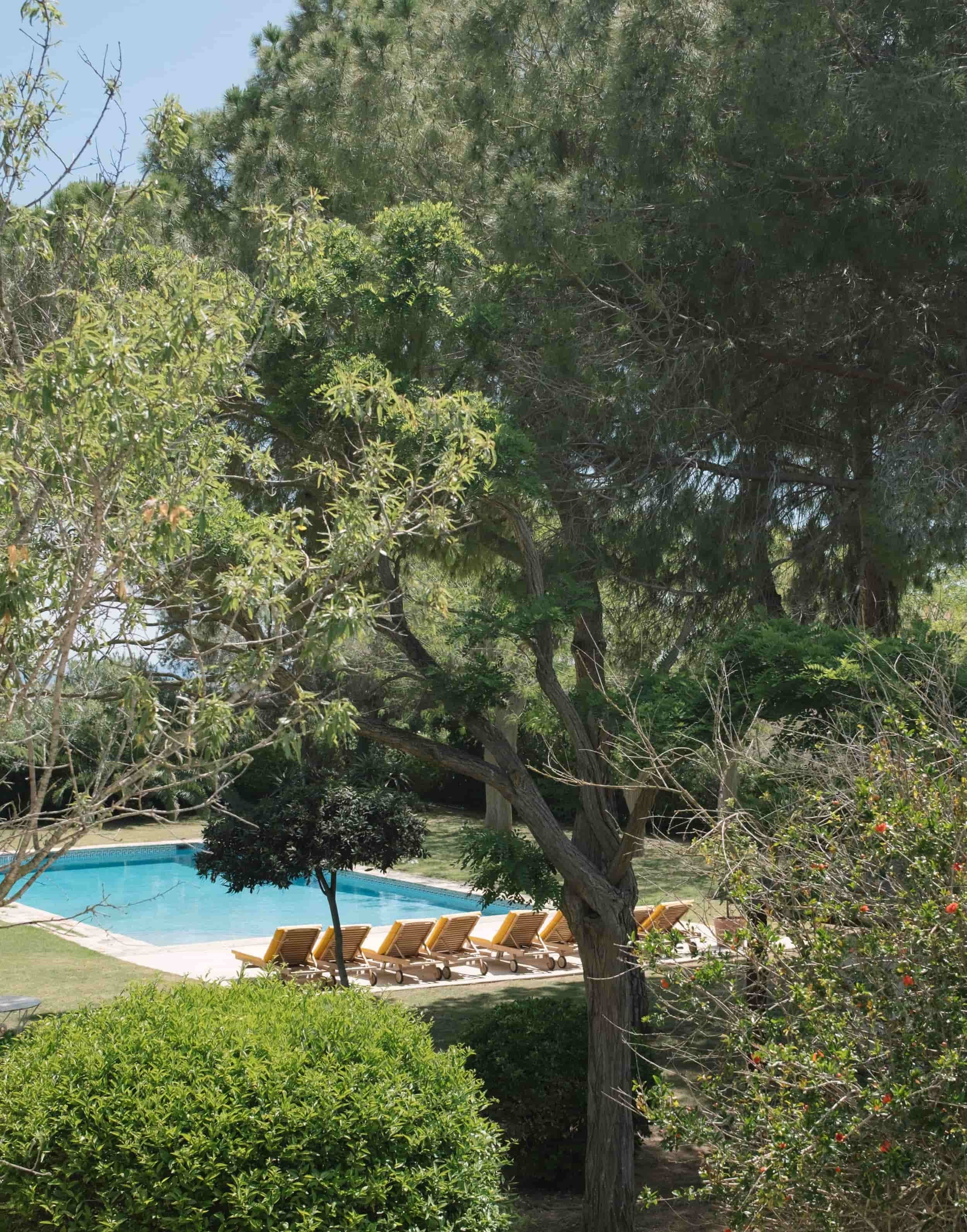 Piscine entourée d'arbres méditerranéens, retraite yoga Masia Can Pares