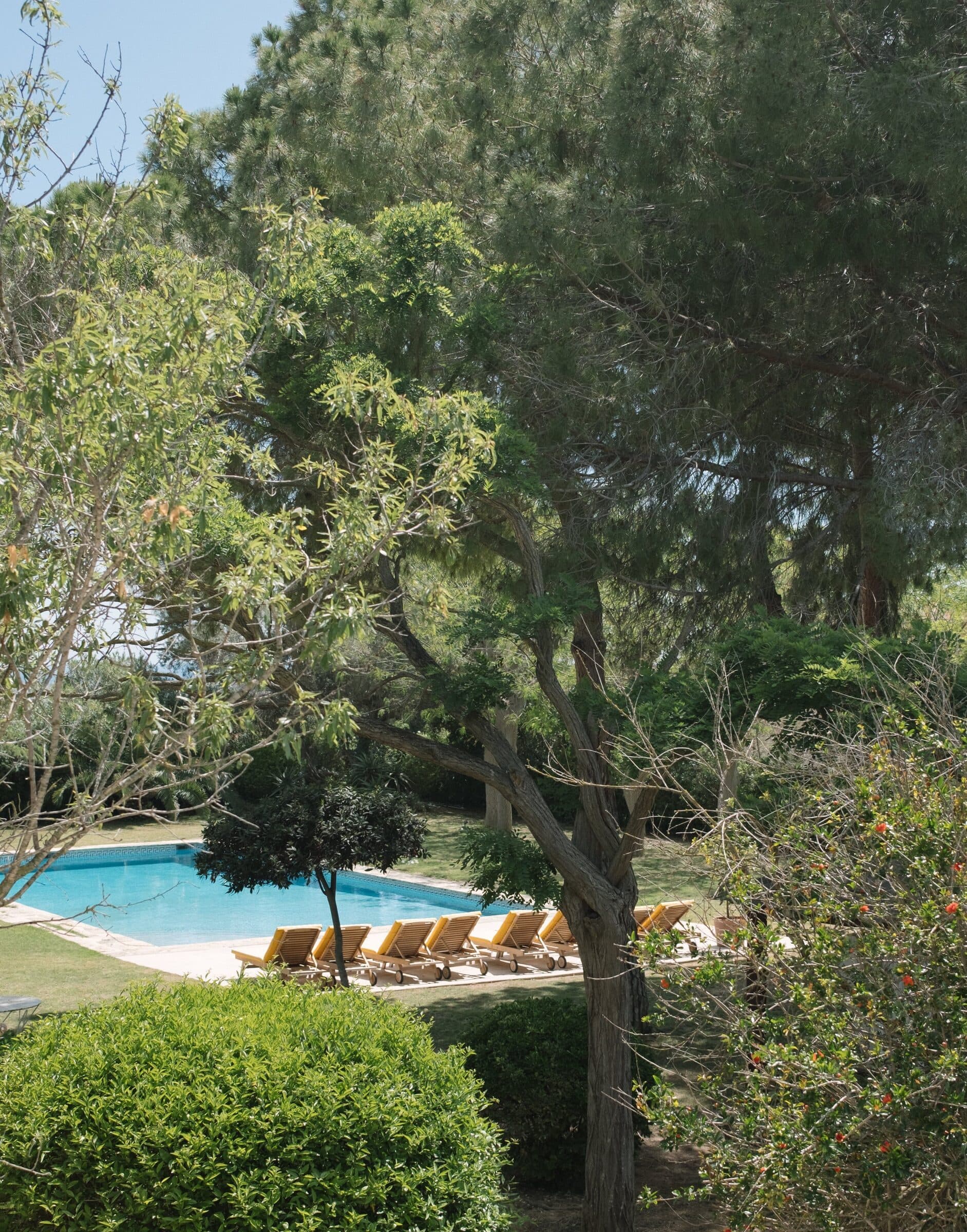 Swimming pool with sun loungers in the garden