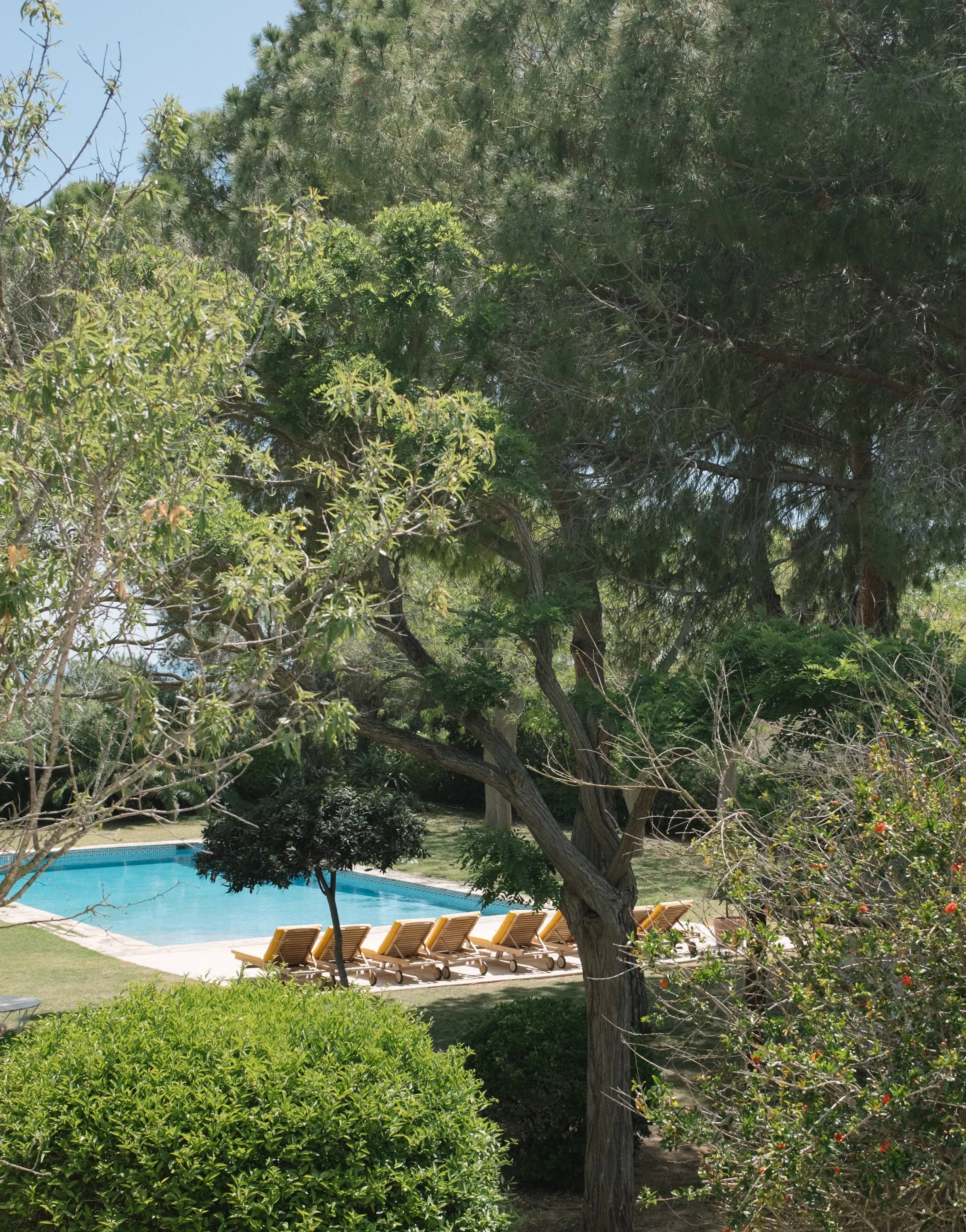 Piscine du jardin botanique, lieu de retraite yoga Can Pares